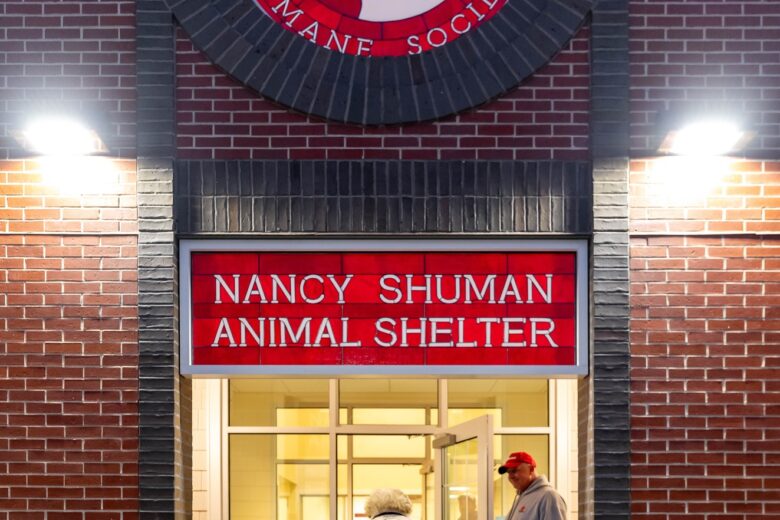 Welcome to the Nancy Shuman Animal Shelter
